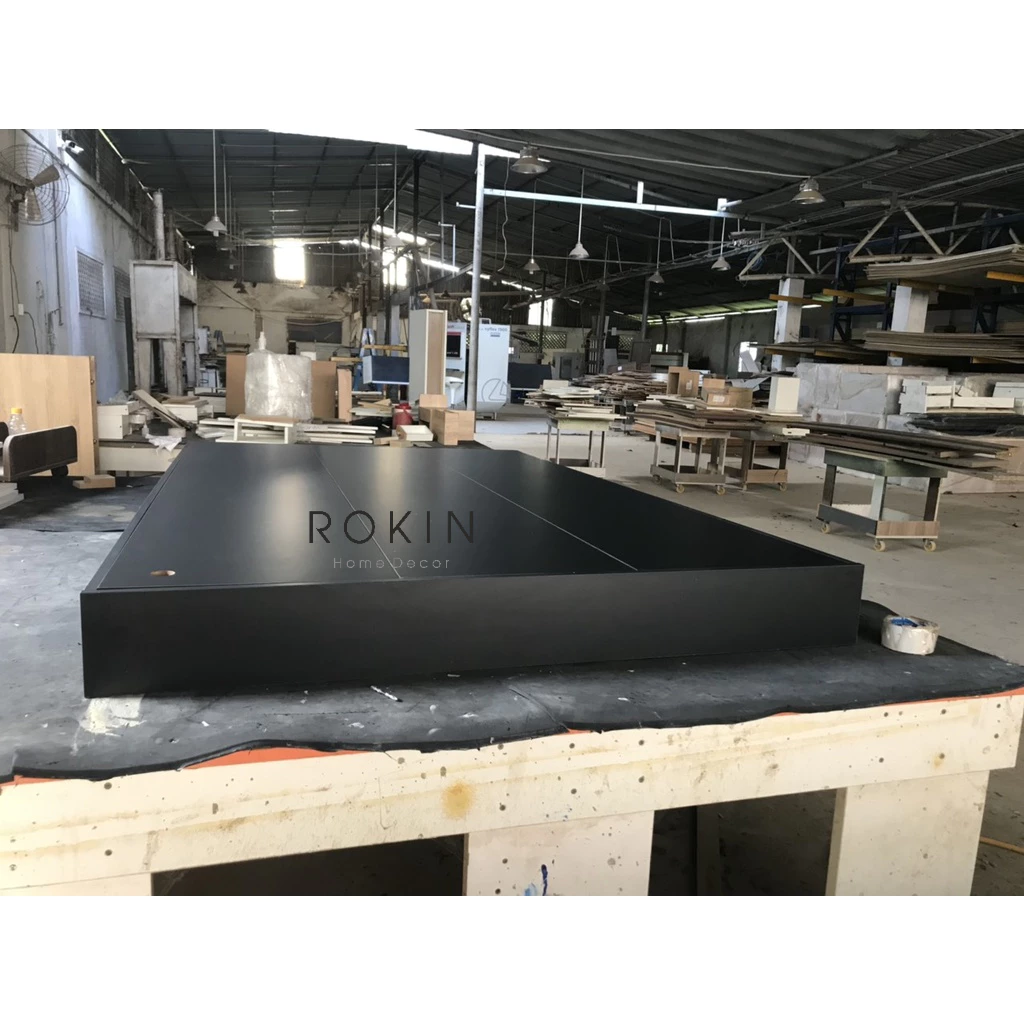 Giường Đa Năng Rokin Tiện Dụng - GN-013